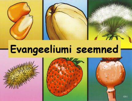 Evangeeliumi seemned